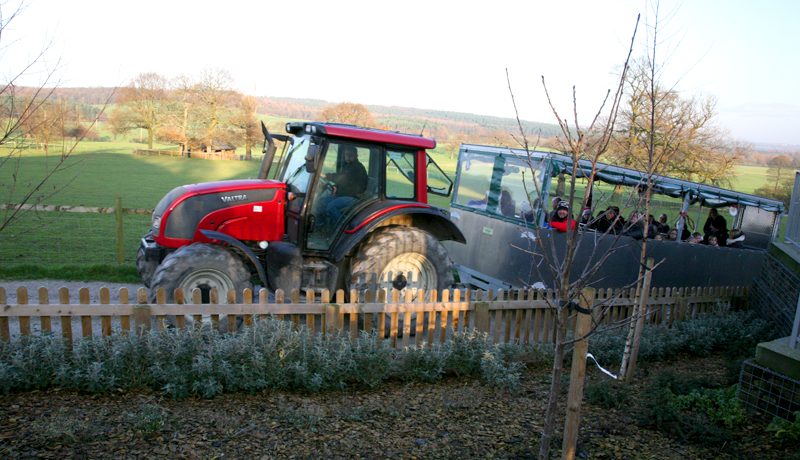 Tractor Ride