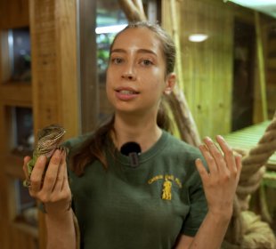 Photo of Kate in the reptile house at Cannon Hall Farm