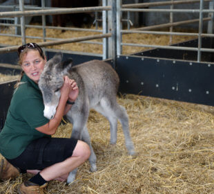 Photo of Ruth Burgess with baby donkey Shirley