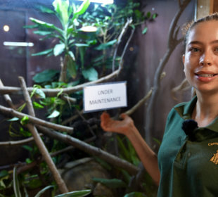 Photo of Kate at the reptile house at Cannon Hall Farm