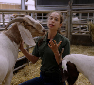 Photo of Kate inside the goat pen with two goats.