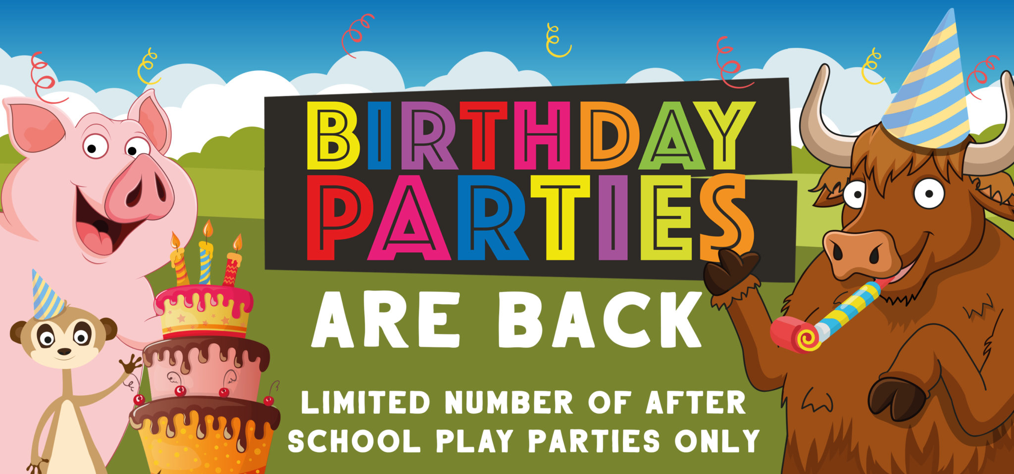 Birthday Parties | Cannon Hall Farm