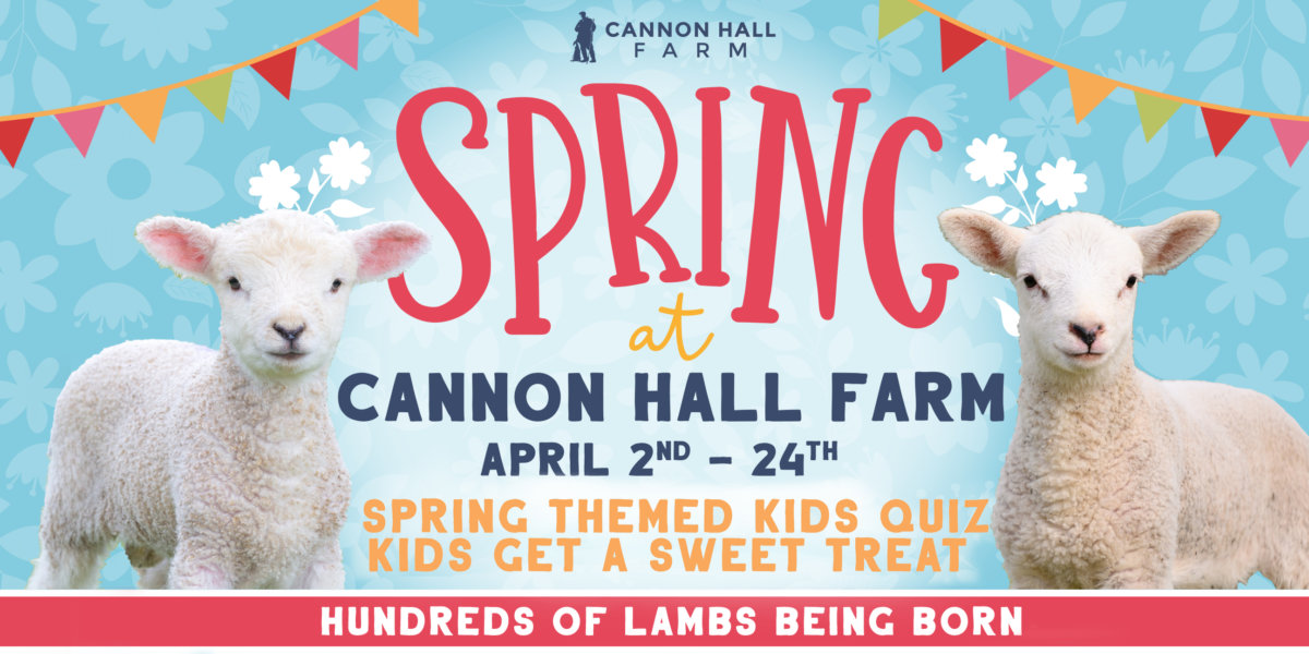 Cannon Hall Farm | The Perfect Family Day Out in Yorkshire