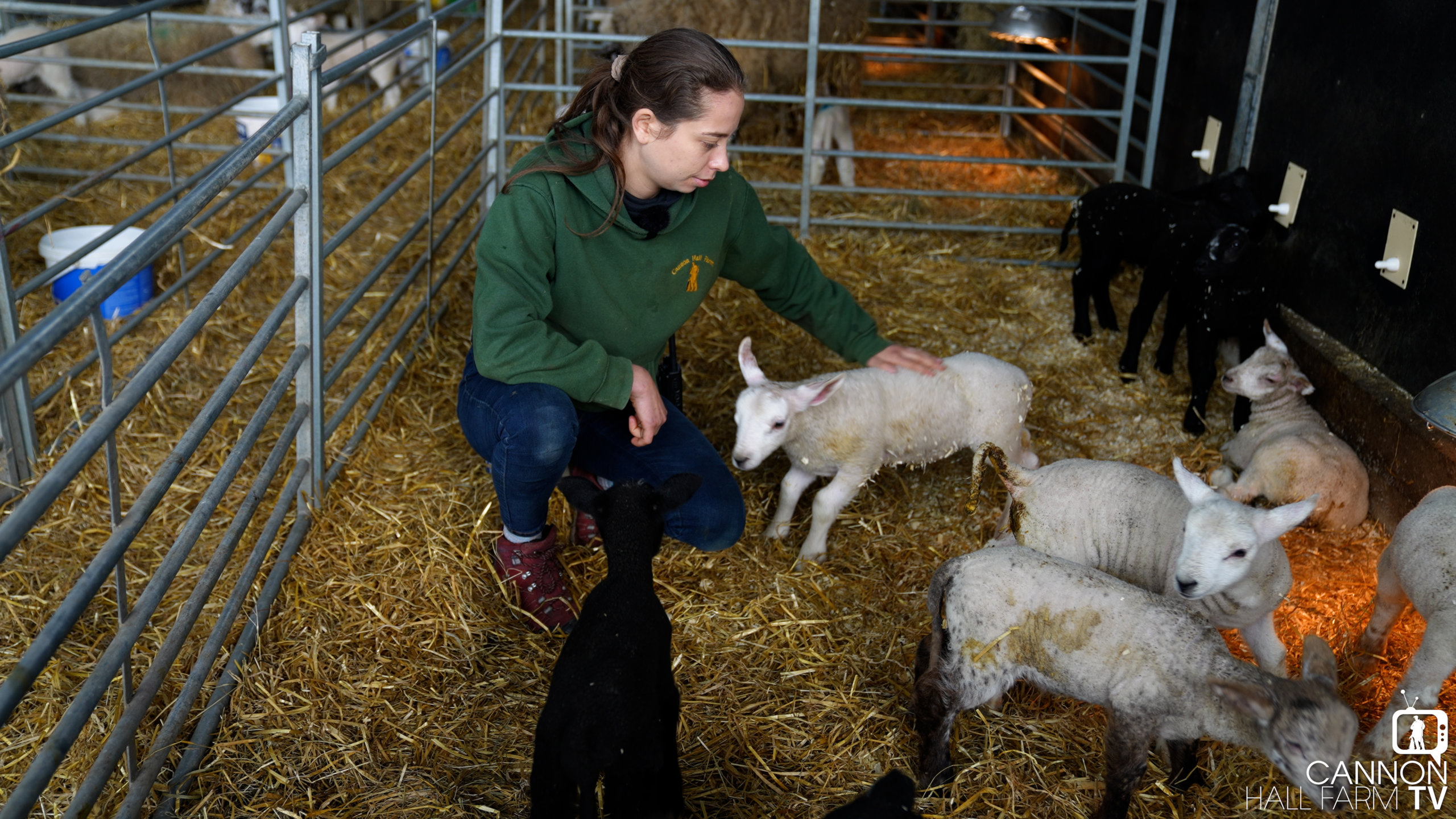 Farmer Kate’s Lamb Creche | Cannon Hall Farm